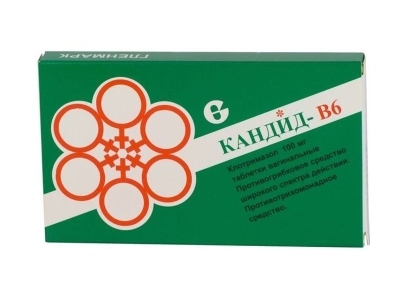 Толеранттылықтың жыныстық үйі